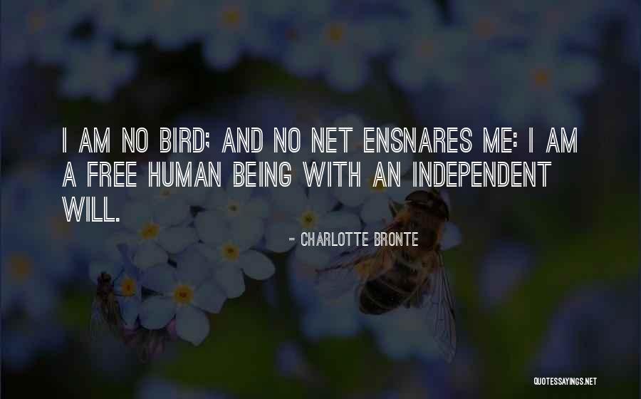 Rosinante Or Traveller Quotes By Charlotte Bronte Rosinante Or Traveller Quotes By Charlotte Bronte