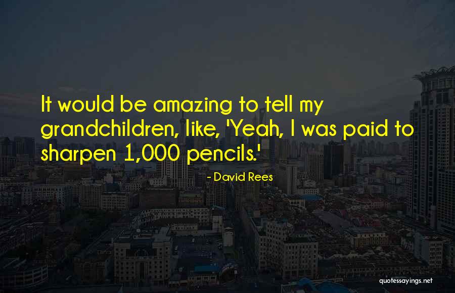 Rosinante Or Traveller Quotes By David Rees Rosinante Or Traveller Quotes By David Rees
