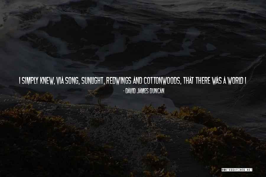 Rosining Quotes By David James Duncan Rosining Quotes By David James Duncan