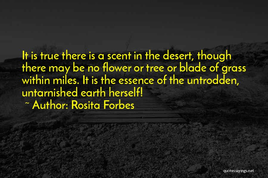 Rosita Forbes Quotes 1564833