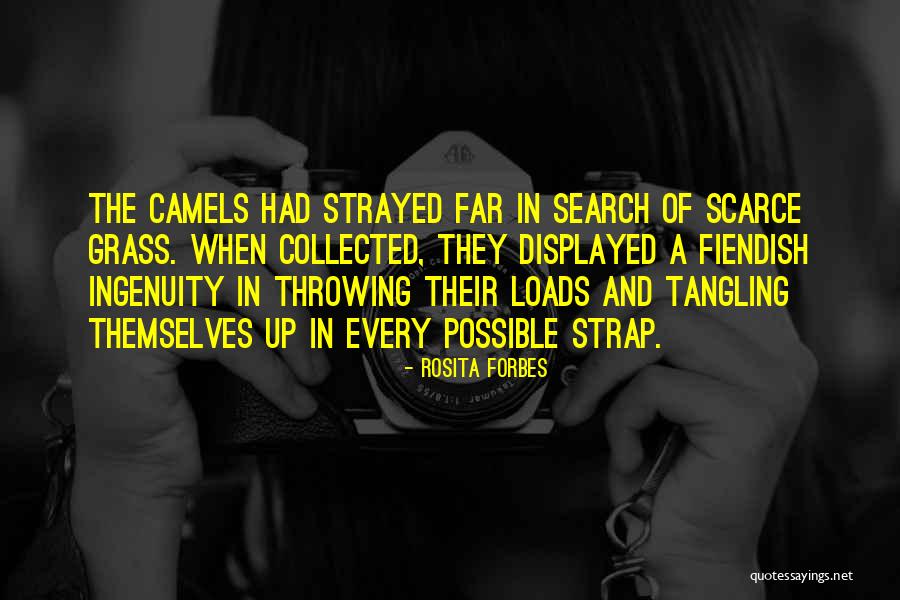 Rosita Quotes By Rosita Forbes Rosita Quotes By Rosita Forbes