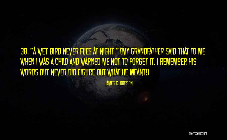 Rosmerisss Quotes By James C. Dobson Rosmerisss Quotes By James C. Dobson