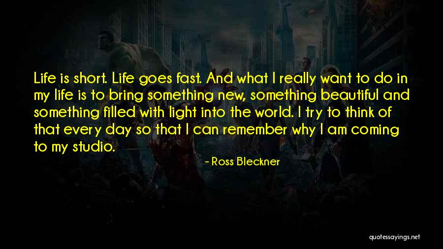 Ross Bleckner Quotes 1860951