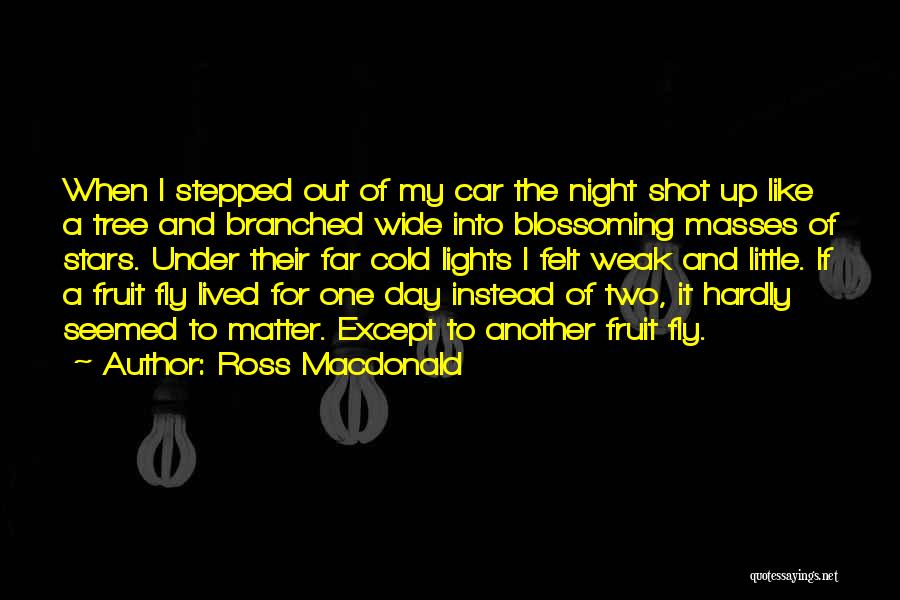 Ross Macdonald Quotes 1126602