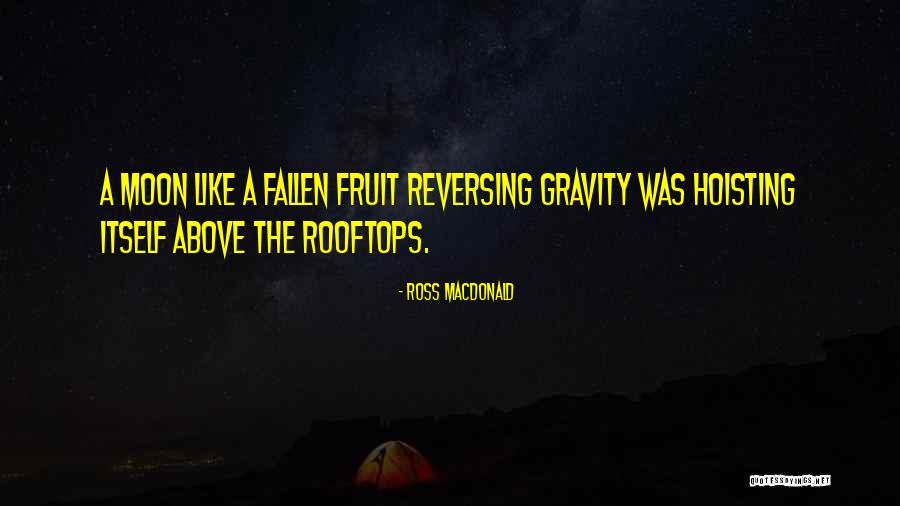 Ross Macdonald Quotes 221448 Ross Macdonald Quotes 221448