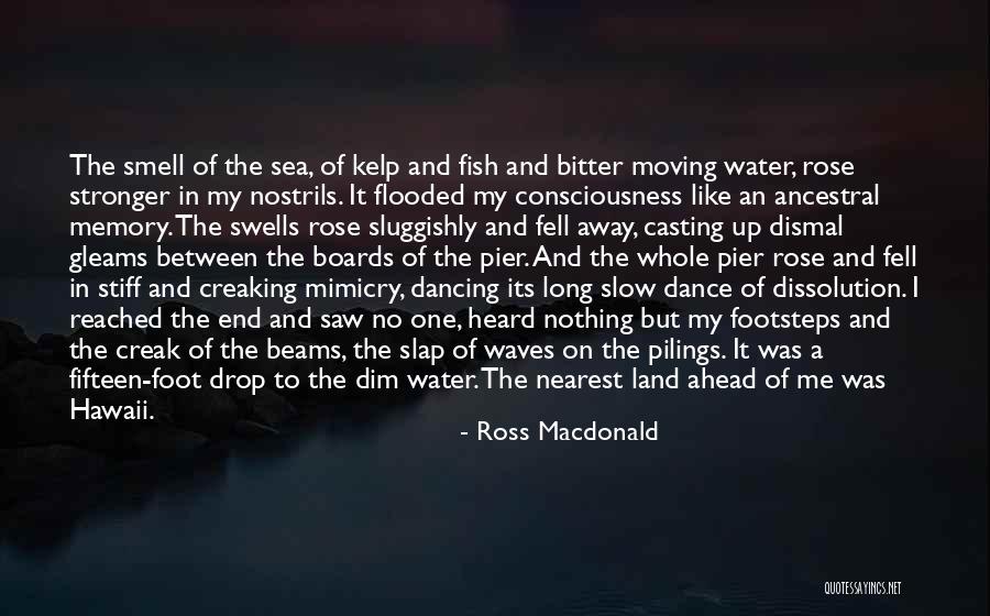 Ross Macdonald Quotes 396661