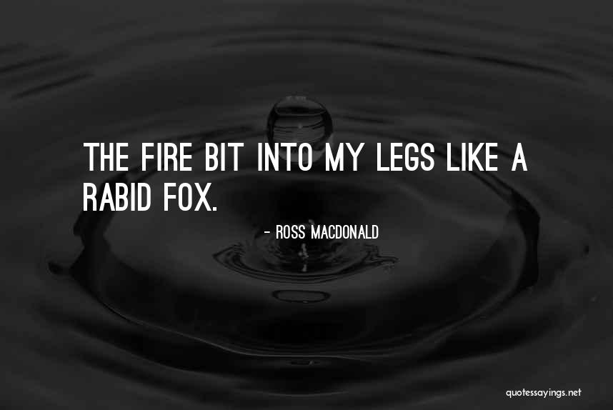 Ross Macdonald Quotes 877113