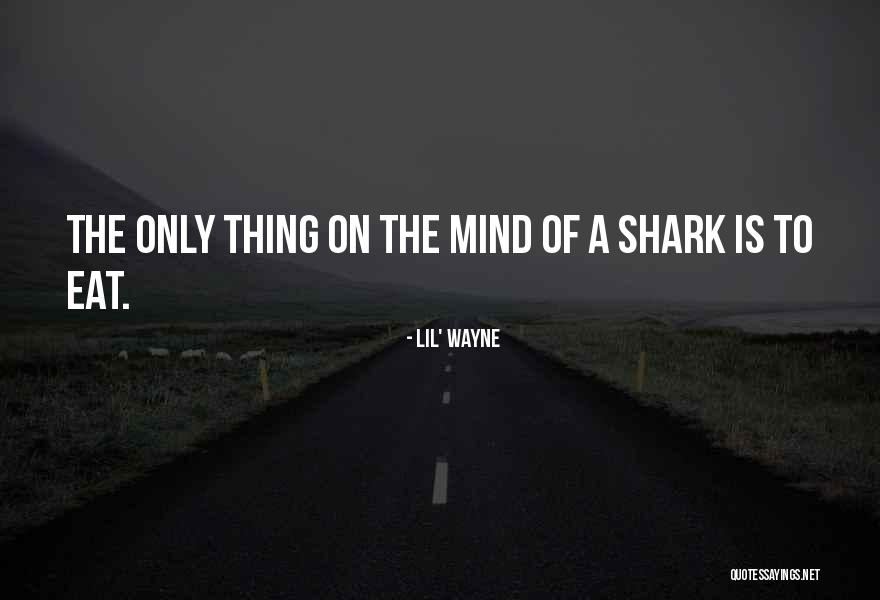 Ross O'carroll Kelly Quotes By Lil' Wayne Ross O'carroll Kelly Quotes By Lil' Wayne