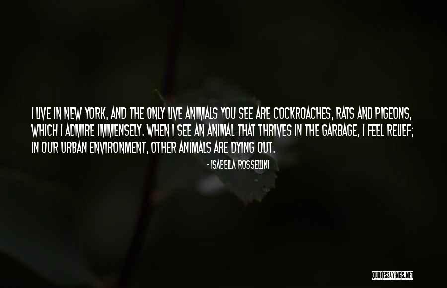 Rossellini Quotes By Isabella Rossellini Rossellini Quotes By Isabella Rossellini