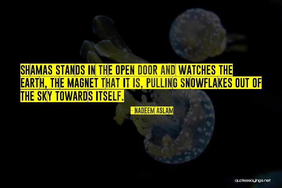 Rostaing Gloves Quotes By Nadeem Aslam Rostaing Gloves Quotes By Nadeem Aslam