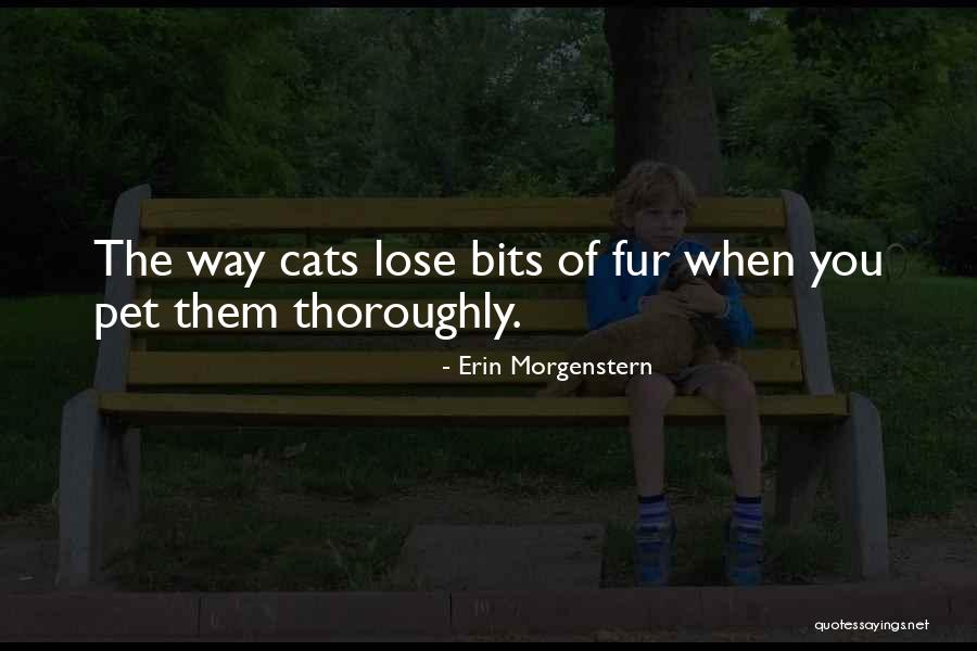Rostkowski Road Quotes By Erin Morgenstern Rostkowski Road Quotes By Erin Morgenstern