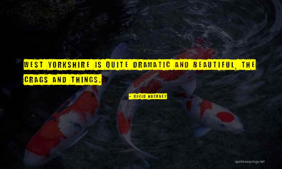 Rosustat Quotes By David Hockney Rosustat Quotes By David Hockney