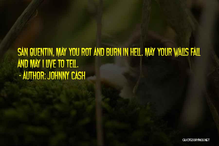 Rot In Hell Quotes By Johnny Cash