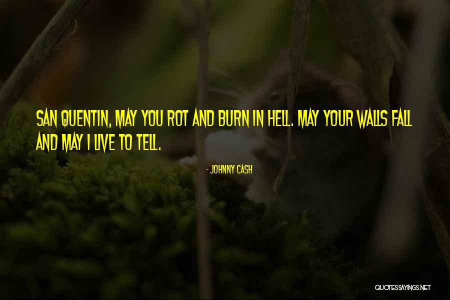 Rot In Hell Quotes By Johnny Cash