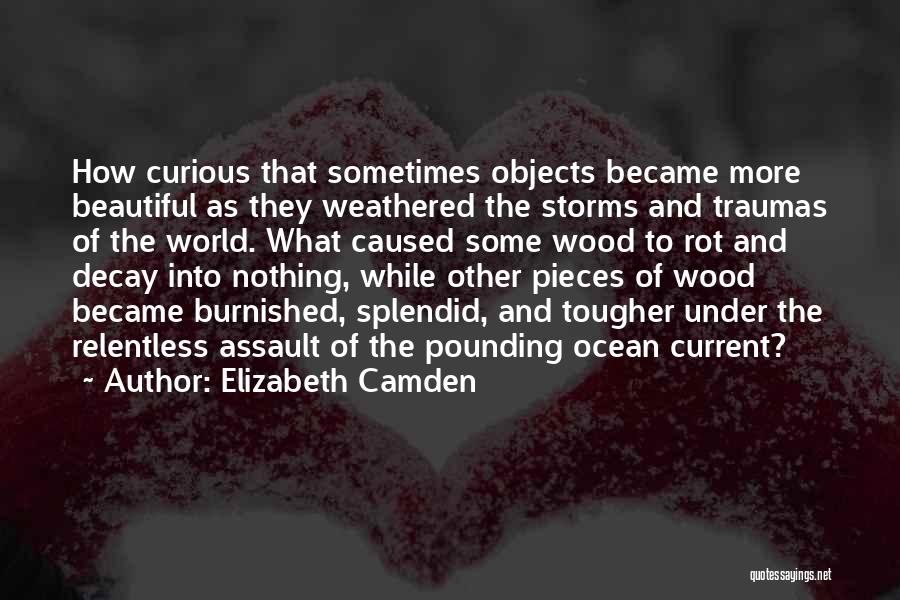 Rot In Pieces Quotes By Elizabeth Camden