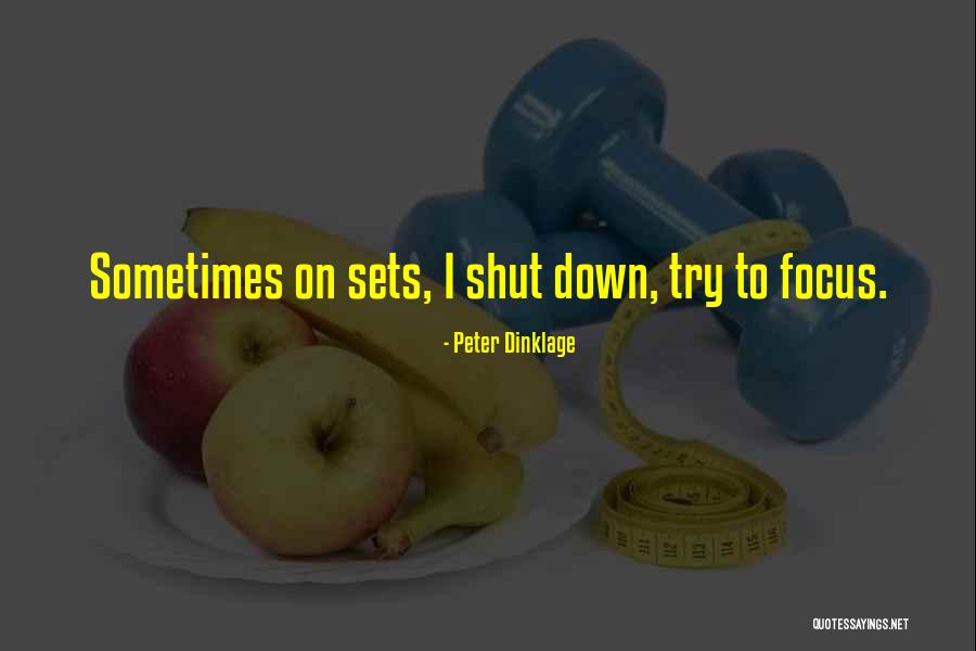 Rotelle Homes Quotes By Peter Dinklage