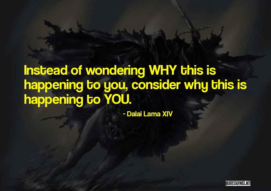 Rotelli Pizza Quotes By Dalai Lama XIV Rotelli Pizza Quotes By Dalai Lama XIV