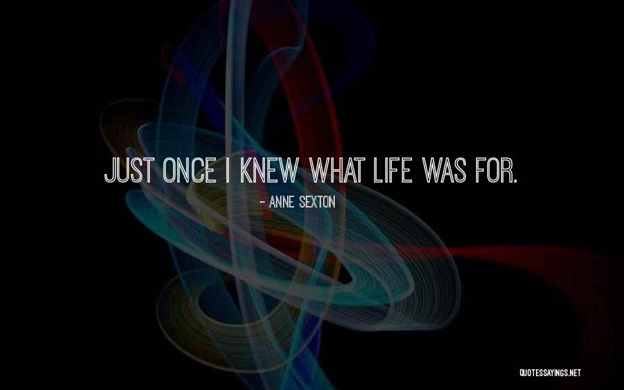 Rotenstreich Family Partners Quotes By Anne Sexton Rotenstreich Family Partners Quotes By Anne Sexton