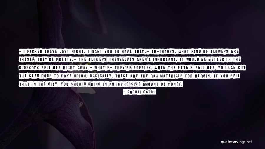 Rotermundt Quotes By Shouji Gatou Rotermundt Quotes By Shouji Gatou