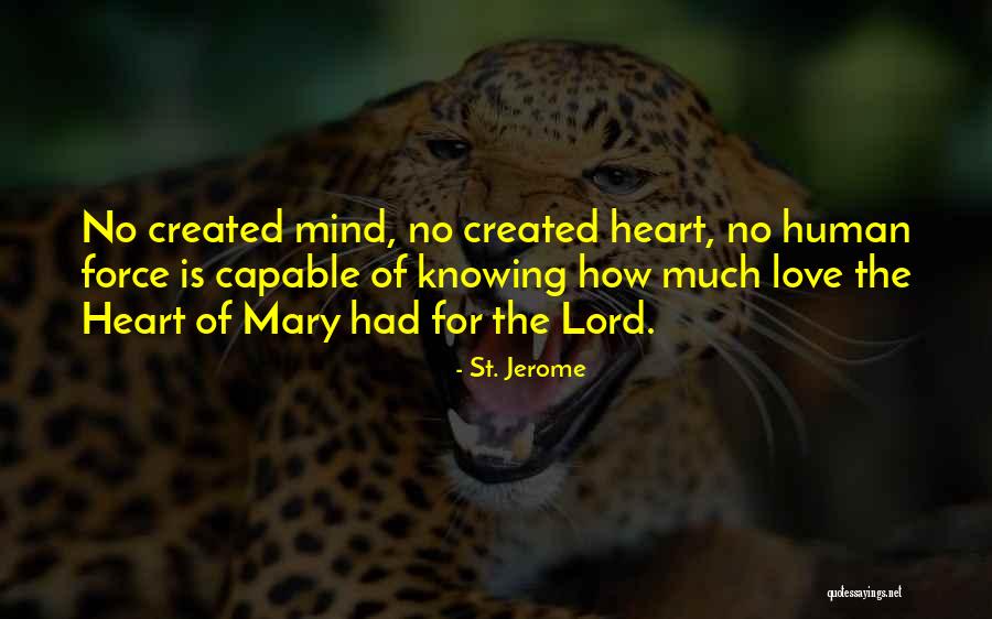 Rotherham Council Quotes By St. Jerome Rotherham Council Quotes By St. Jerome