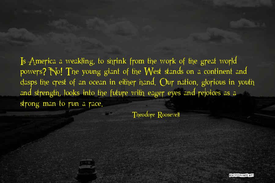 Rothermel Stephen Quotes By Theodore Roosevelt Rothermel Stephen Quotes By Theodore Roosevelt