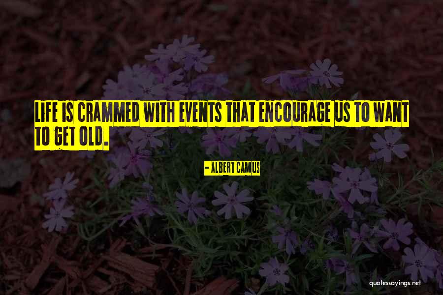 Rothfarb Family Tree Quotes By Albert Camus Rothfarb Family Tree Quotes By Albert Camus