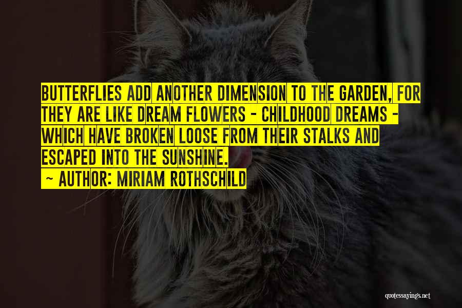 Rothschild Quotes By Miriam Rothschild