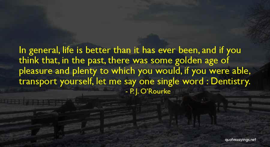 Rotonet Quotes By P. J. O'Rourke Rotonet Quotes By P. J. O'Rourke