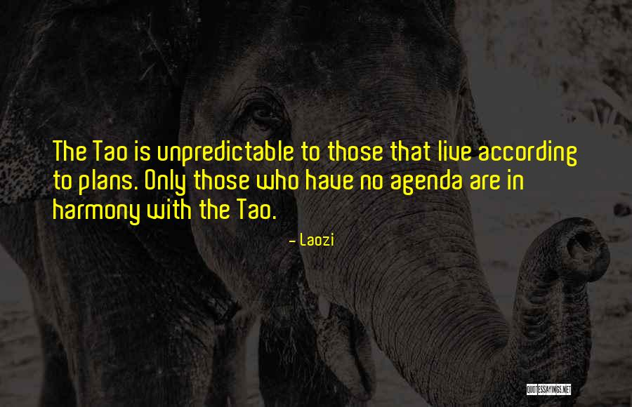 Rotraud Schindler Quotes By Laozi Rotraud Schindler Quotes By Laozi