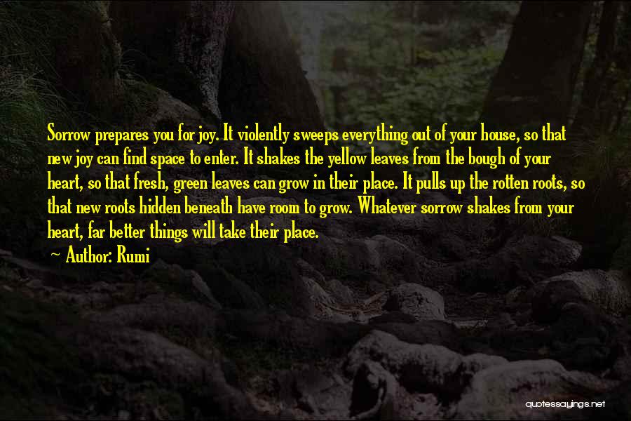 Rotten Heart Quotes By Rumi