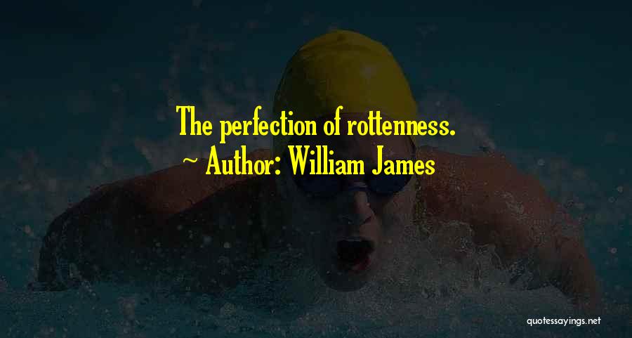 Rottenness Quotes By William James