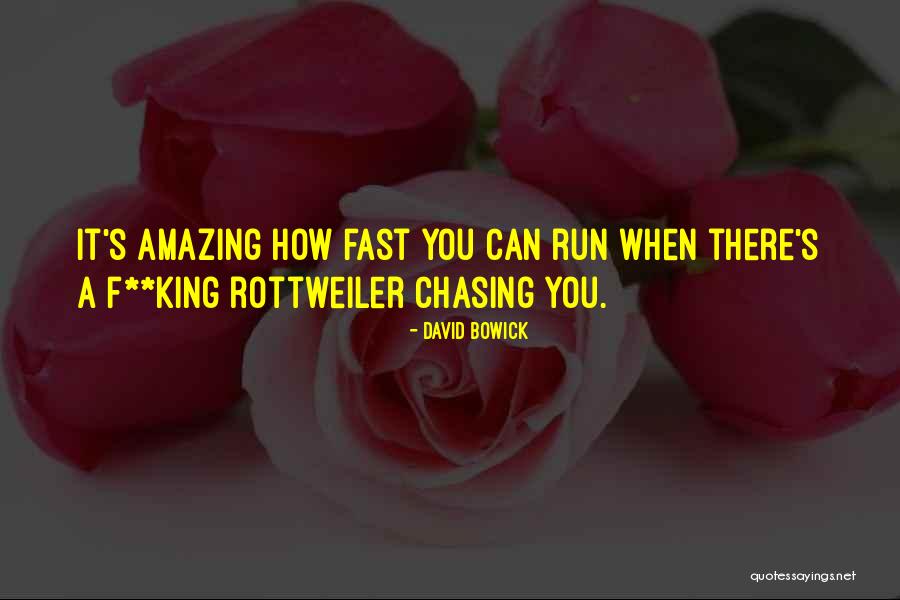 Rottweiler Quotes By David Bowick Rottweiler Quotes By David Bowick