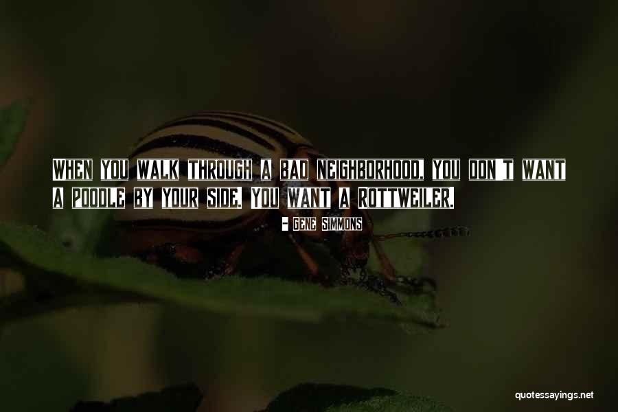Rottweiler Quotes By Gene Simmons Rottweiler Quotes By Gene Simmons