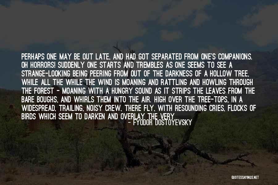 Roubertos Quotes By Fyodor Dostoyevsky Roubertos Quotes By Fyodor Dostoyevsky