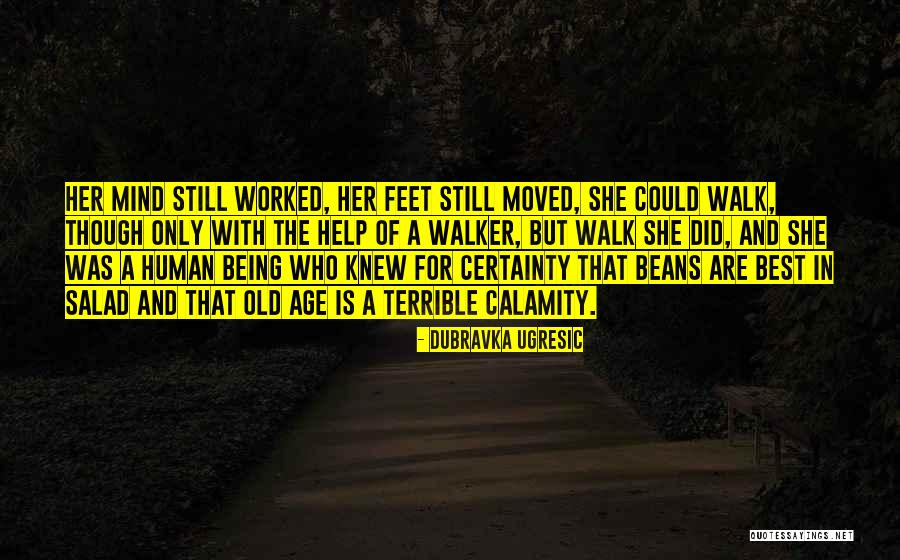 Roudy Fevry Quotes By Dubravka Ugresic Roudy Fevry Quotes By Dubravka Ugresic