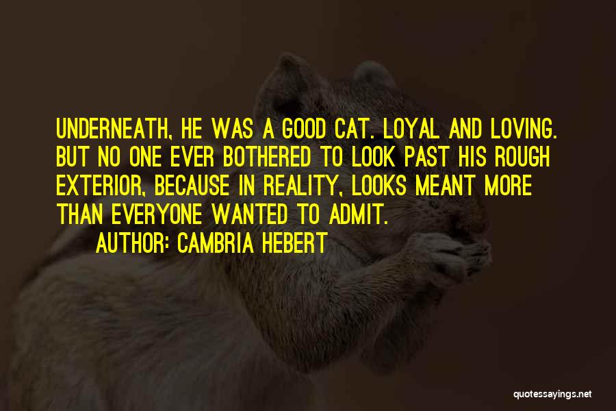 Rough Look Quotes By Cambria Hebert