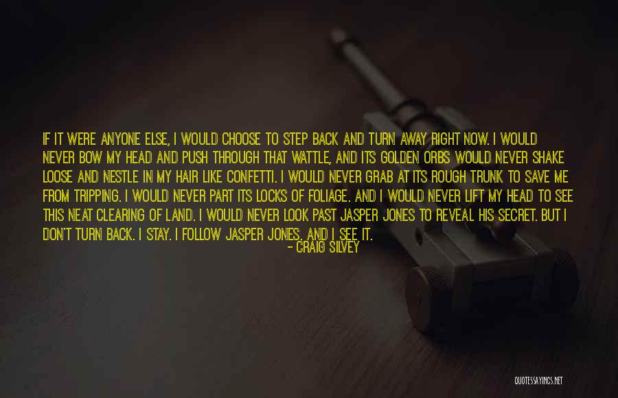 Rough Look Quotes By Craig Silvey Rough Look Quotes By Craig Silvey