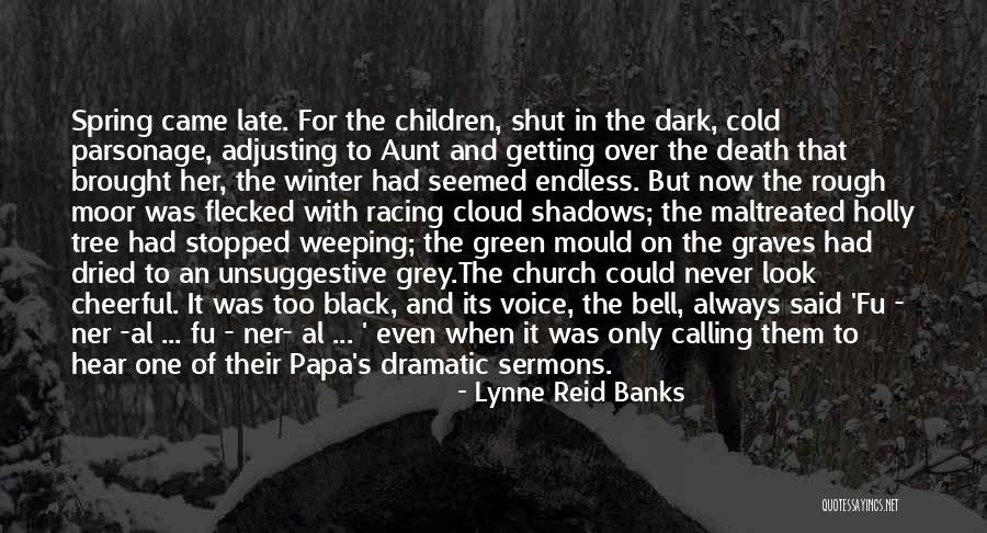 Rough Look Quotes By Lynne Reid Banks Rough Look Quotes By Lynne Reid Banks