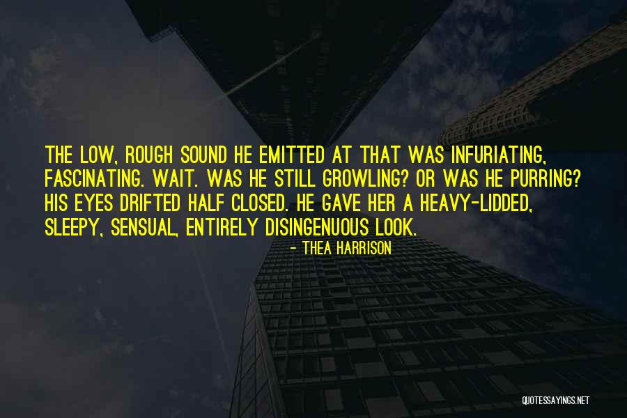 Rough Look Quotes By Thea Harrison Rough Look Quotes By Thea Harrison