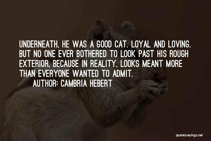 Rough Past Quotes By Cambria Hebert