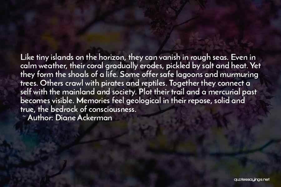 Rough Past Quotes By Diane Ackerman