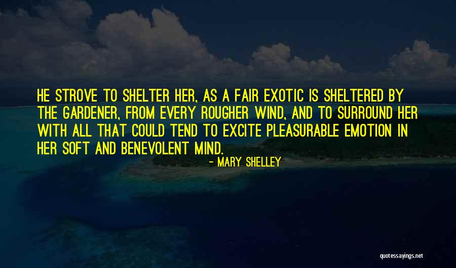 Rougher Than Quotes By Mary Shelley Rougher Than Quotes By Mary Shelley