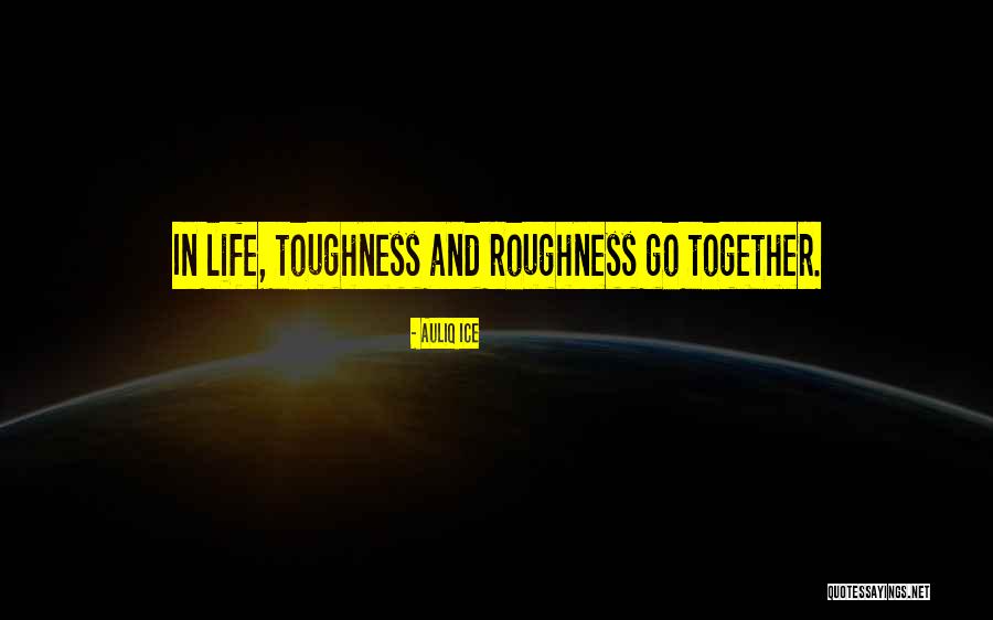 Roughness Quotes By Auliq Ice Roughness Quotes By Auliq Ice