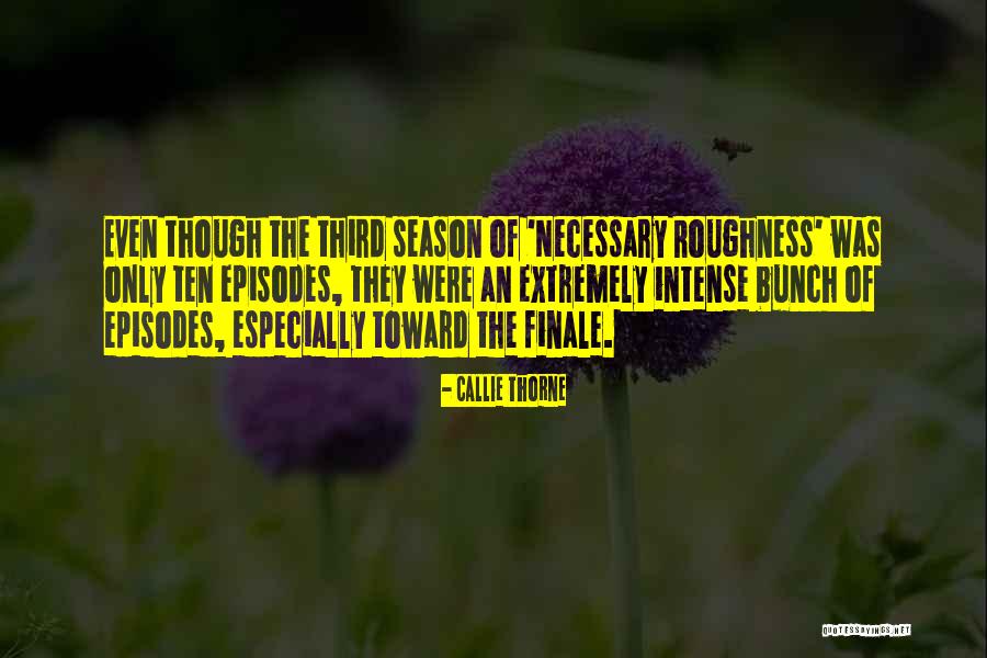 Roughness Quotes By Callie Thorne Roughness Quotes By Callie Thorne