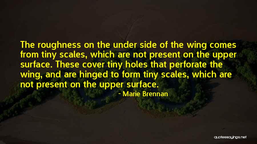 Roughness Quotes By Marie Brennan Roughness Quotes By Marie Brennan