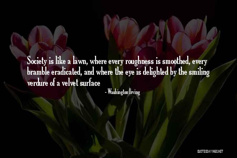 Roughness Quotes By Washington Irving Roughness Quotes By Washington Irving