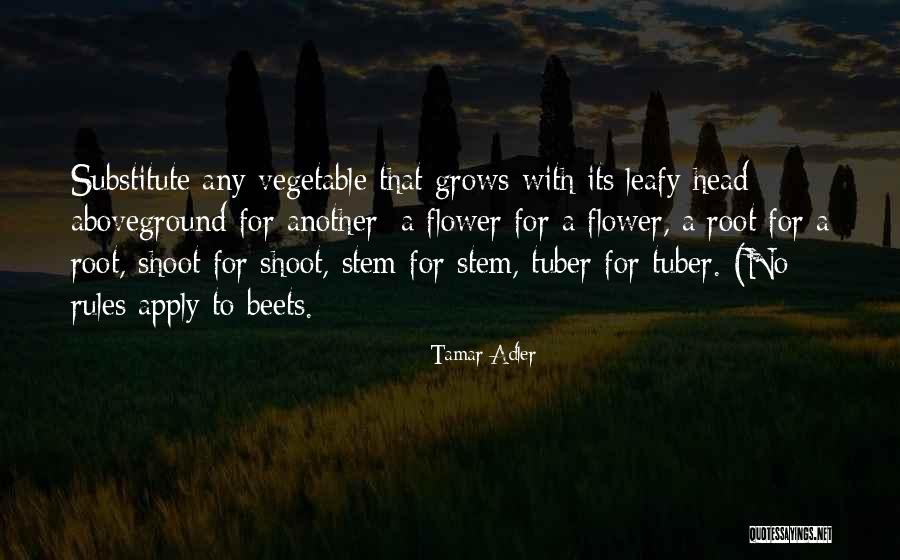 Roughstock Quotes By Tamar Adler Roughstock Quotes By Tamar Adler