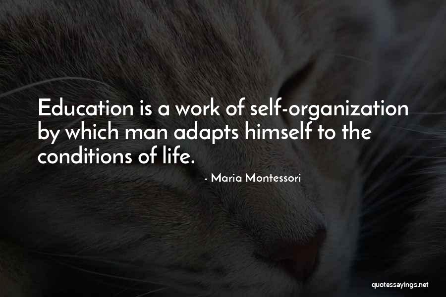 Rouleaux Rbc Quotes By Maria Montessori Rouleaux Rbc Quotes By Maria Montessori