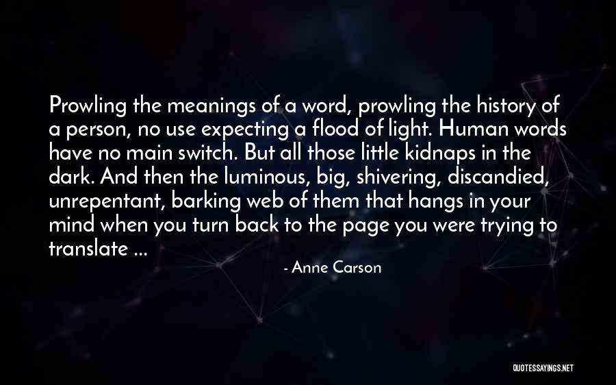 Roumain Building Quotes By Anne Carson Roumain Building Quotes By Anne Carson