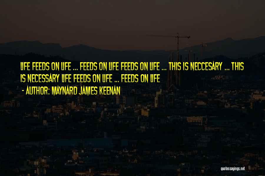 Rounders Glenn Ford Quotes By Maynard James Keenan